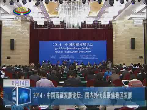 2014-中国西藏发展论坛：国内外代表聚焦我区发展