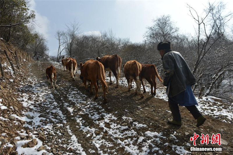 四川宝兴硗碛藏乡嘎日村山上经过一夜大雪，被皑皑白雪覆盖，呈现出与四川盆地不同的景象。