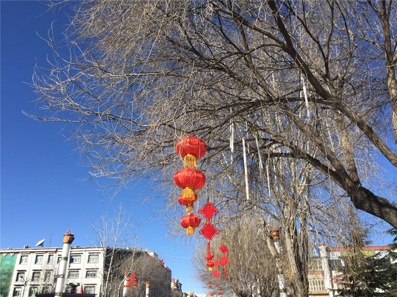 喜看西藏新年溢新风