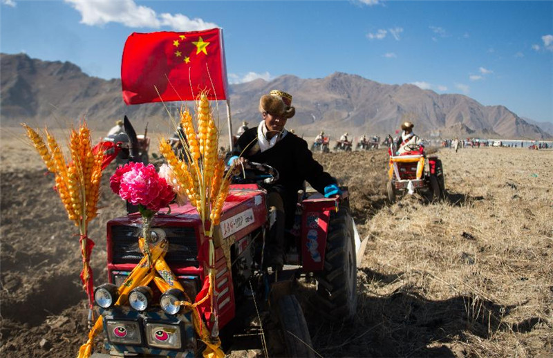 3月16日，手扶拖拉机手在拉萨市达孜县帮堆乡的春耕仪式上犁地。