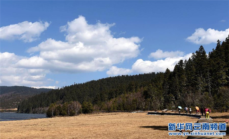 游客在云南省迪庆藏族自治州香格里拉普达措国家公园游览（3月15日摄）。