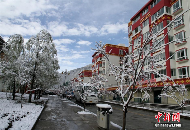3月24日凌晨开始，四川峨眉山、甘孜州康定等地，迎来去冬今春以来最大的一场降雪。