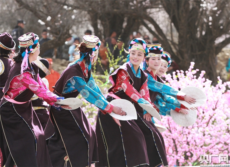 2015西藏林芝桃花文化旅游节今日开幕