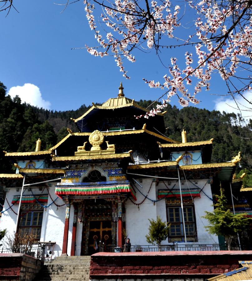 喇嘛林寺主体建筑（3月27日摄）。