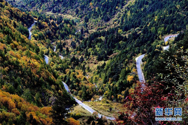 这是川藏公路西藏林芝地区境内的山路（2014年10月19日摄）。