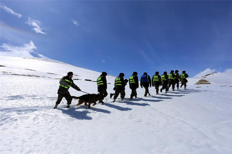 5月8日，西藏公安边防总队阿里边防支队丁嘎柏林边境检查站官兵与联防队员一起带警犬在山口雪地巡逻。