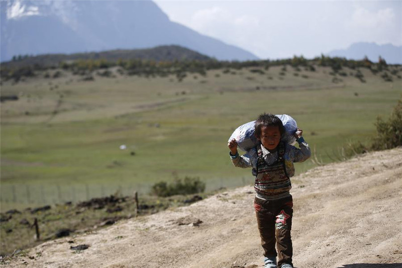5月9日，西藏日喀则吉隆县乃村的孩子在背运领到的救灾物资。