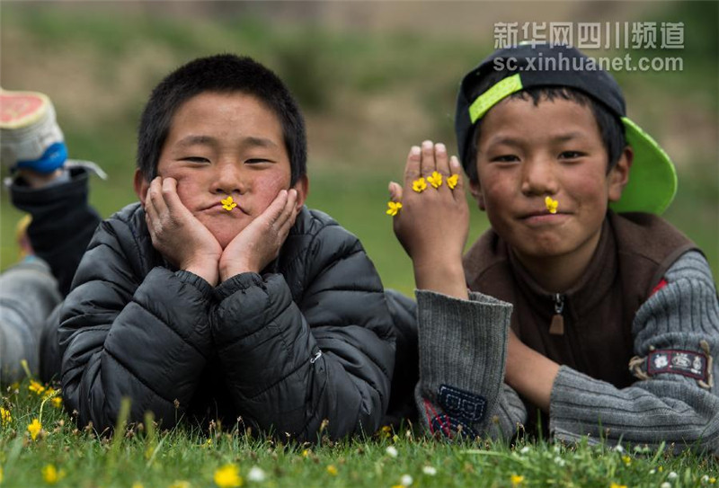 5月31日，雅江县西俄洛乡康巴汉子村，孩子们在草地上玩耍。