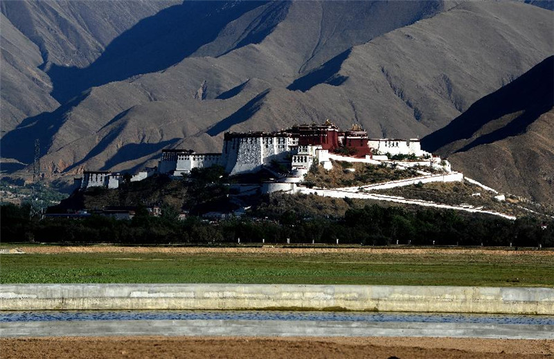 西藏拉鲁湿地生态保护成效明显