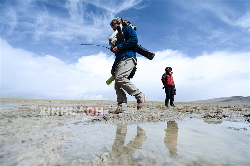 5月17日，才仁（前）带领一名志愿者前往班德湖的斑头雁观测点。
