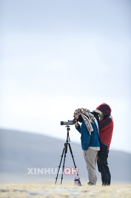 5月17日，才仁（左）和一名志愿者在班德湖观测斑头雁数量。