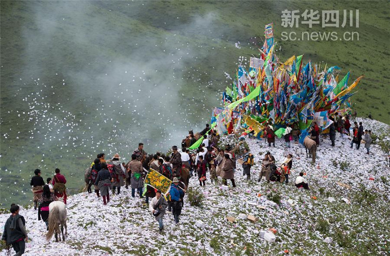6月23日，四川省红原县藏族群众在煨桑节上抛撒的隆达铺满了整个山梁。江宏景 摄