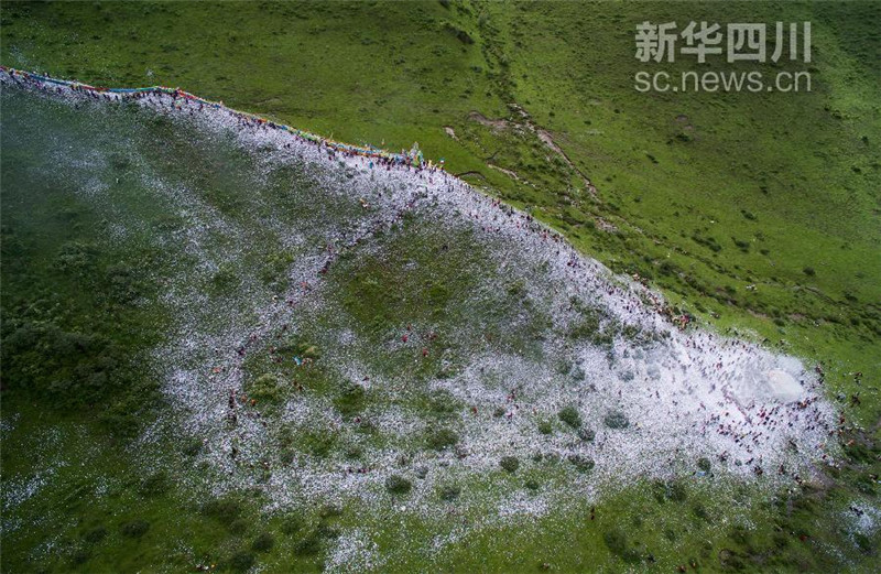 6月23日，四川省红原县藏族群众在煨桑节上抛撒的隆达铺满了整个山梁。江宏景 摄