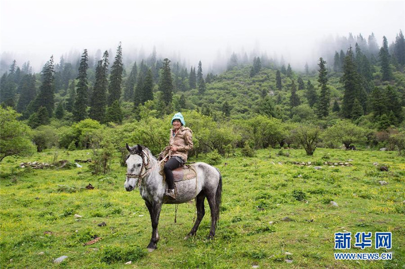 达古冰山风景名胜区内，一名藏族妇女骑马走在牧场里（6月29日摄）。