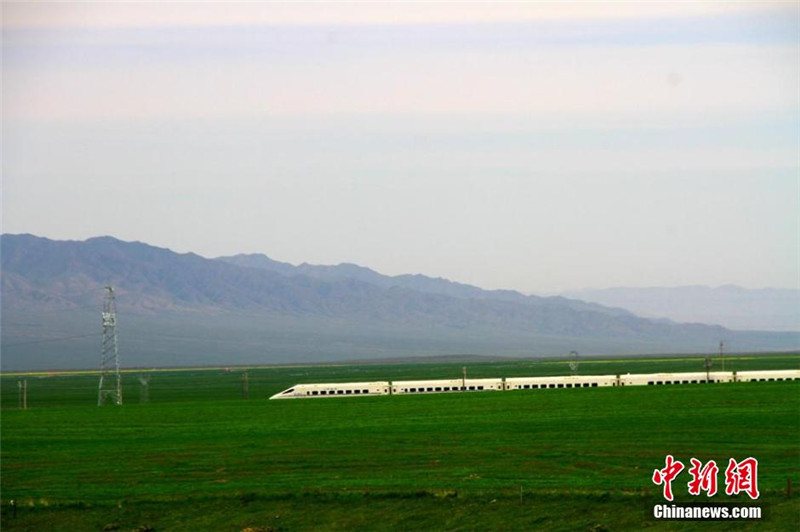 7月的甘肃山丹马场草原，山花烂漫，菜花飘香，高铁动车穿行在雪山下的花海之间。陈礼 摄