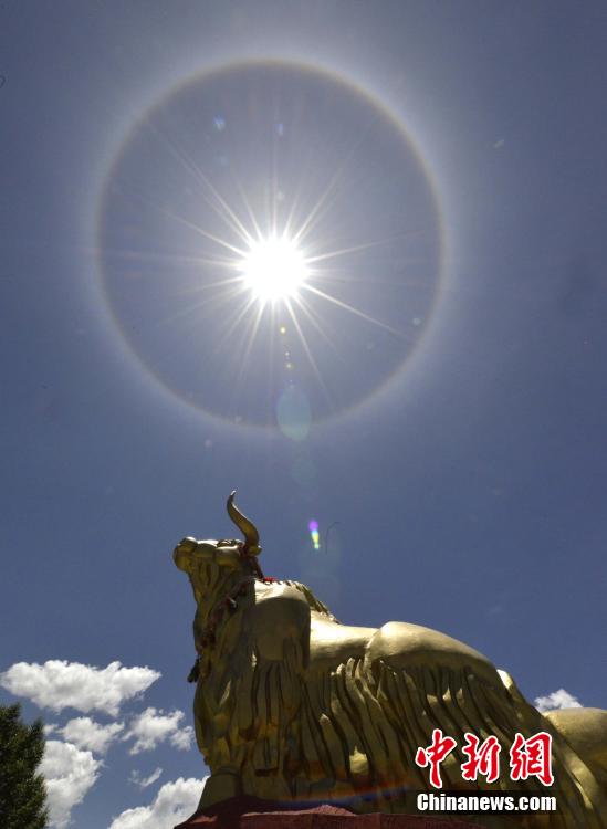 7月21日，拉萨标志性雕塑铜牛上空出现的日晕。中新社发李林 摄