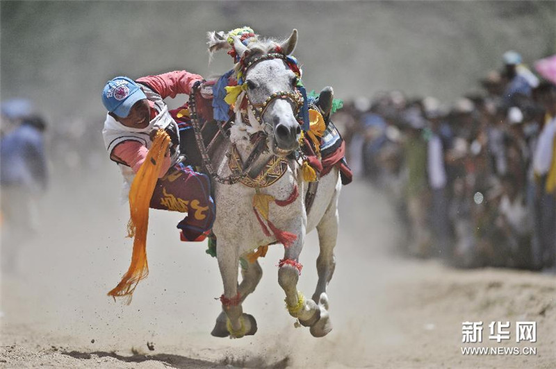 西藏“望果节”赛马表演