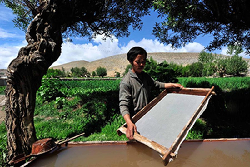 在西藏尼木，造纸艺人格桑丹增用纱网将纸捞出（2011年6月22日摄）。