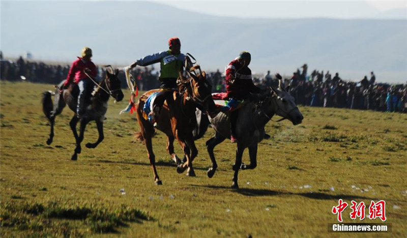 获胜的骑手接受藏族牧民朝拜。 杨艳敏 摄