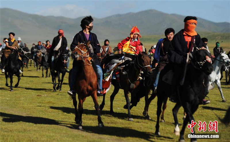 获胜的骑手在部落其他藏族牧民的护送下奔腾在草原上。 杨艳敏 摄