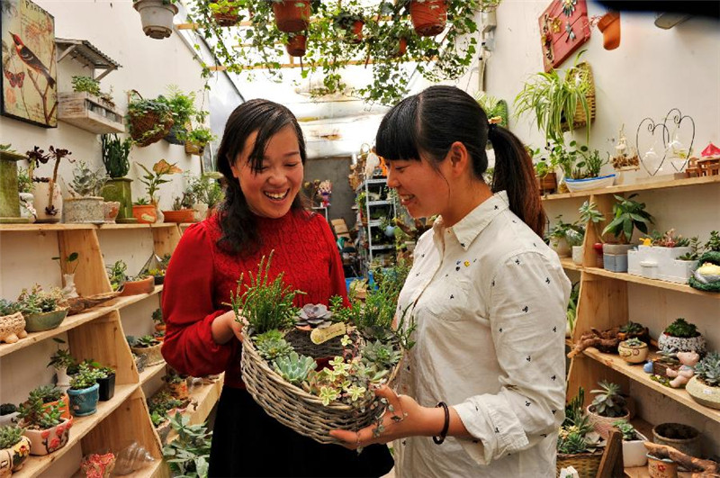 邓文娟在“树妖姑娘”花卉大棚展示她培育的心形多肉植物组合（7月20日摄）。  