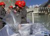 10月15日，在西藏山南地区加查县的华能藏木水电站，工作人员将珍稀鱼苗放流进江水中。