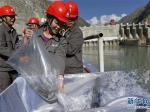 西藏藏木水电站水域开展珍稀鱼类增殖放流活动