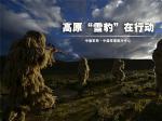 西藏军区特种作战团：高原“雪豹”在行动