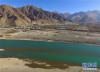 这是11月14日拍摄的西藏拉萨河。 新华社记者 刘东君 摄