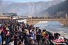 2月20日，农历正月十三，有着“世界藏学府”之称的甘肃拉卜楞寺举行了一年一度的正月晒佛节。
