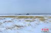 图为甘南草原雪景。 张勇 摄