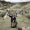2014年8月15日，巴定村的望果节，57岁的西洛老人带着村里的妇女在村后的山坡上祭祀山神。