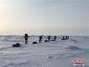 图为登山队员正在朝北极点徒步。 何鹏飞 摄