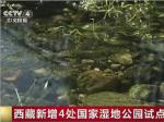 西藏新增4处国家湿地公园试点