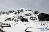 5月2日，游客在香格里拉巴拉格宗雪山上观赏雪景。新华社记者杨宗友摄
