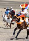 这是在西藏拉萨当雄县纳木错乡拍摄的赛马（5月5日摄）。 新华社记者觉果摄