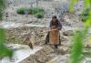 5月13日，日喀则市白朗县巴扎乡的农民在农忙时节引水浇灌农田。