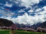 《西藏微纪录》：不一样的桃花节
