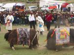 《西藏微纪录》——者下斗牛节