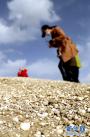 6月2日，一名游客向记者展示捡拾到的贝壳。