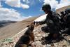 6月9日，军犬训导员给军犬喂粽子。
