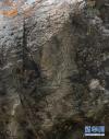 这是石渠县长沙干马乡须巴神山石刻群中的一幅石刻（6月28日摄）。