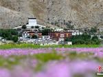 西藏古寺协·扎西格培寺迎来建寺700周年庆典