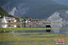 7月26日，一头牦牛在云南省迪庆藏族自治州香格里拉市的纳帕海湿地吃草。当天，“2016寰行中国——秘境瑰宝”别克·中国文化之旅抵达第二站香格里拉，探访这里的自然风光、人文风情。 中新社记者 侯宇 摄