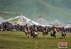 藏族同胞正在进行马技展示。 刘忠俊 摄
