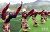 8月4日，牧民在嘉黎县城边的草原上载歌载舞。