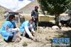 9月12日，山南市扎囊县疾控中心业务主任格桑次仁（左）、办公室主任林永材（中）在桑耶镇村民索朗次仁家院中采集狗粪，准备化验。 