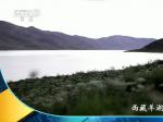 西藏羊湖美景