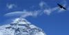 红嘴乌鸦飞过珠穆朗玛峰（9月22日摄）。 世