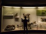 西藏首家自然科学博物馆免费开放
